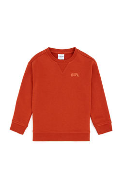 Базовый свитшот Tile для мальчиков Неожиданная скидка в корзине - U.s. polo assn фото 7