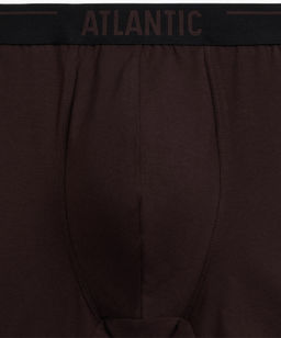 ATLANTIC 5SMH-004 Трусы шорты Solid - набор (5 шт.) коричневый + графитовый + черный + фиолетово-серый + каберне фото 4