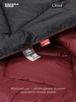 Одеяло Cloud Cool 220х240см всесезонное 200г/м2 ЕС-6855 - Espera фото 3