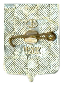 Значок Боровичи