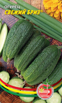 Огурец СВЕЖИЙ БРИЗ Устойчивость к оливковой пятнистости! Высокие вкусовые и засолочные качества!