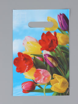 Цена за 100 шт. Пакет "Монро", полиэтиленовый с вырубной ручкой, 20 х 30 см, 30 мкм