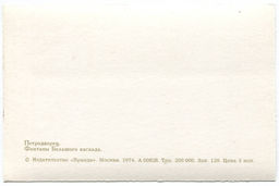 Открытка Петродворец  Фонтаны большого каскада.