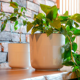 Горшок цв. Линель 6л двойной (белый) М8704 - Альтернатива фото 3