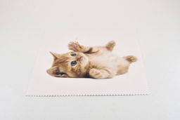 САЛФЕТКА ДЛЯ ОЧКОВ NIKITANA №675 (МИКРОФИБРА)