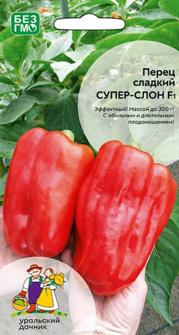 Перец СУПЕР-СЛОН F1  Эффектный! Массой до 300 г! Обильное плодоношение толстостенных плодов!