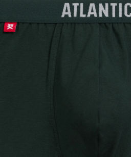 ATLANTIC 5SMH-004 Трусы шорты Solid - набор 5 шт. каберне + серый меланж + изумрудный + черный + темно-голубой  фото 7