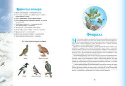 Времена года. Иллюстрированная энциклопедия. Свечников В. - Махаон фото 5
