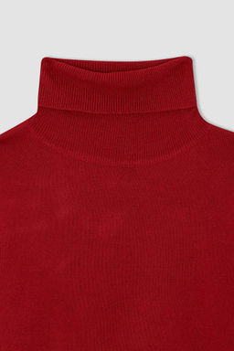 Очень мягкий красный свитер с водолазкой и кашемировым фактурным рисунком - Defacto фото 8
