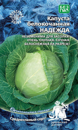 Капуста НАДЕЖДА Незаменима для засолки! Очень плотная, сочная, белоснежная на срезе!