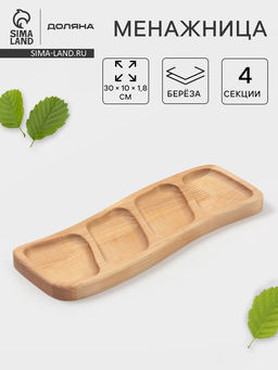 Менажница прямоугольная Доляна, 30×10×1.8 см, 4 секции, дерево берёза