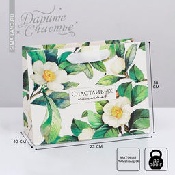 Цена за 2 шт. Пакет подарочный ламинированный, упаковка, Счастливых моментов, MS 23?18?10 см