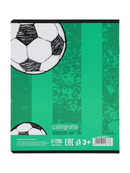 Цена за 6 шт. Тетрадь 12 листов в клетку, Calligrata «Футбол», МИКС