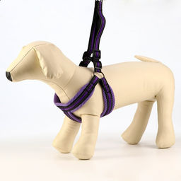 Комплект амуниции светоотражающий с мягкими шлейкой и ручкой, поводок 120 х 2 см, ОШ 25-72 см, фиол - Пижон фото 2