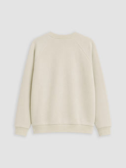 Bisiklet Yaka Bask?l? Erkek ?ocuk Sweatshirt - Waikiki фото 3