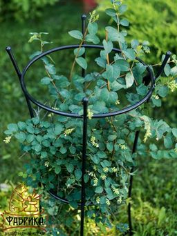 Опора для растений 58-913B - Фабрика интерьерной ковки фото 5
