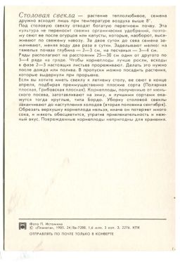 Открытка Свекла