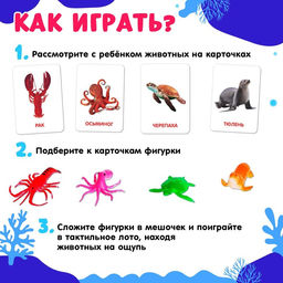 Развивающий набор с карточками Водные животные, по методике Домана - Iq-zabiaka фото 2