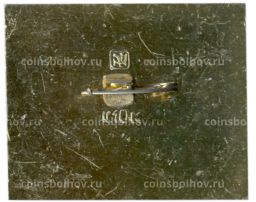 Значок Барельеф Дмитриевского собора во Владимире