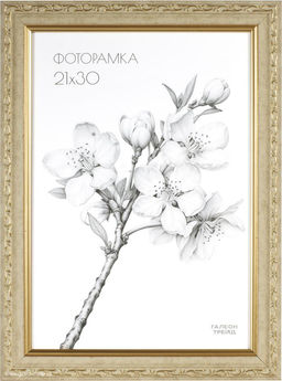Фоторамка 21х30 / 10103-2 /уп10