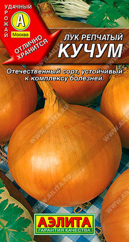 0543A Лук репчатый Кучум 1 гр