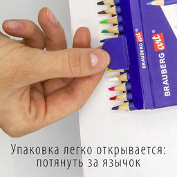 Карандаши художественные цветные акварельные BRAUBERG