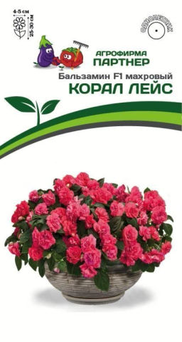 Бальзамин Уоллера махровый Корал Лейс