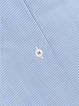 Сорочка мужская длинный рукав GREG 211/117/145/Z/1p STRETCH_GB  фото 2