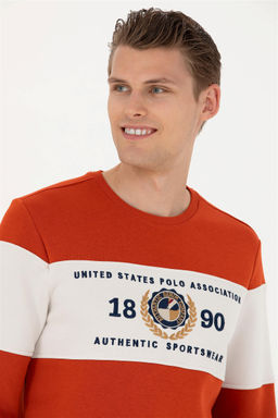 Мужской свитшот с плиткой Неожиданная скидка в корзине - U.s. polo assn фото 2