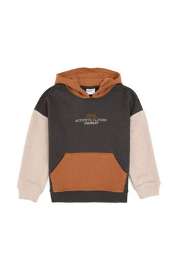 Erkek _ocuk Gri Kap__onlu Sweatshirt - U.s. polo assn фото 2