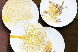 Набор тарелок Singapore, белый, 21x21 см, 4 шт - Anna lafarg фото 10