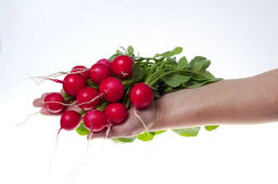 Редис Черриэт - Партнер фото 6