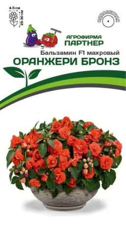 Бальзамин Уоллера махровый Оранжери Бронз