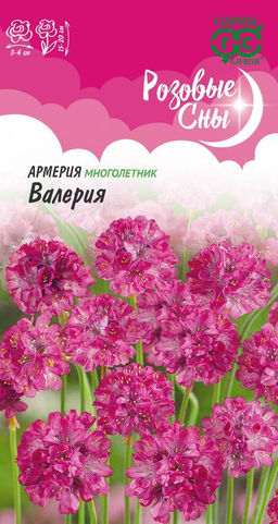 Армерия Валерия (приморская) 0,02 гр (г)