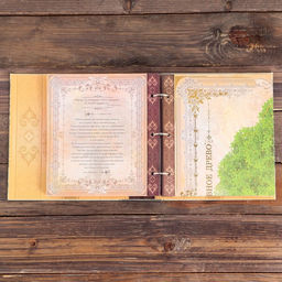 Родословная книга с рамкой под фото Семейная летопись, 22,5 х 23,7 см - Семейные традиции фото 2