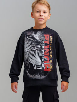 32411084 Толстовка для мальчиков