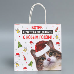 Пакет подарочный крафтовый Котик, 22 22 11 см - Дарите счастье фото 3