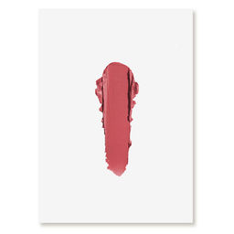 Матовая помада для губ Velvet Matt Lipstick Deseo, 456 Нежная марсала 1872N11850