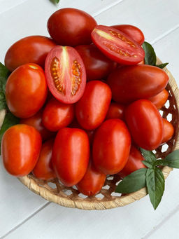 Томат БОЕЦ (БУЯН) Суперскороспелый гость из Новосибирска! Неприхотлив! Без пасынкования! Идеален для засолки! - Уральский дачник фото 5