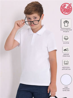 футболка-поло 1ПДПК4551090