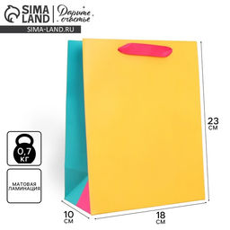 Цена за 2 шт. Пакет подарочный трёхцветный, упаковка, «Жёлтый-розовый-голубой», MS 18×23×10 см