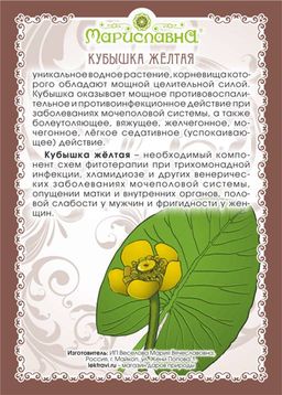 Кубышка жёлтая (корень) - Мариславна фото 2