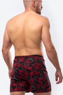 Мужские трусы с принтом дракон Happy Fox  фото 4