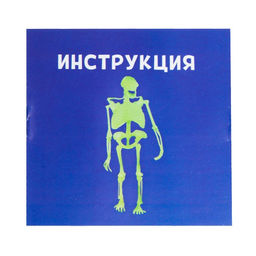 Набор для опытов Тело человека - Эврики фото 4