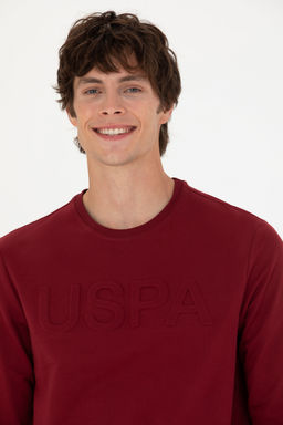 U. S. Polo Assn / Мужской бордово-красный базовый свитшот - U.s. polo assn фото 16