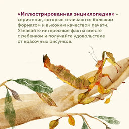 Что внутри? Как устроены дома животных. Банфи К., Перабони К. - Издательство махаон фото 5