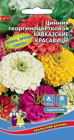 Цинния КАВКАЗСКИЕ КРАСАВИЦЫ  Яркая смесь георгиноцветковая