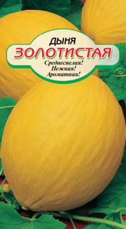 Золотистая дыня 10шт (ссс) Р