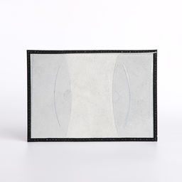 Обложка для паспорта, цвет чёрный