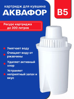 -15% Сменный модуль В5 бактерицидный (комплект из 2-х штук) Аквафор